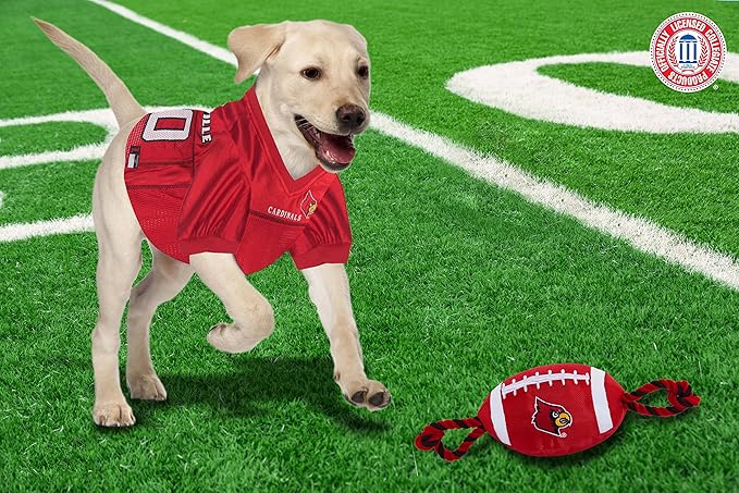 Pets First NFL Unisex NFL Nylon Football