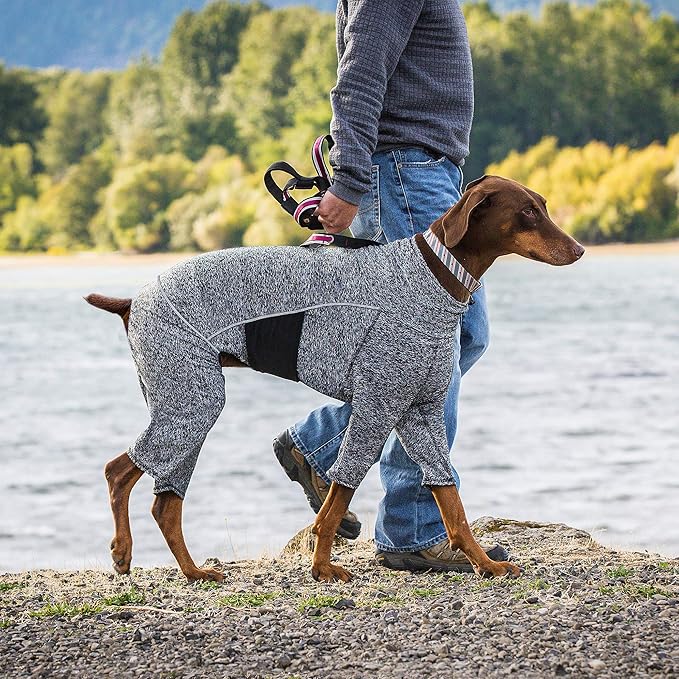 Kurgo Stowe Base Layer - Comfortable, Cold-Weather Pet Wear - Breathable Snug Fit - Dual-Zipper Dog Onesie - Reflective Side Seams - Dog Pajamas - Machine Washable - Medium - Black/Grey