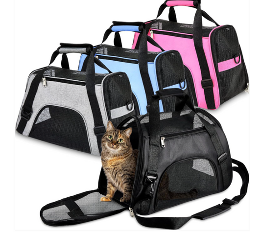 ravel Made Easier for You and Your Cat