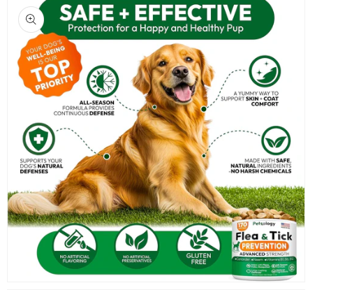 The Invisible Problem Every Dog Owner Faces (And How to Prevent It)-1
