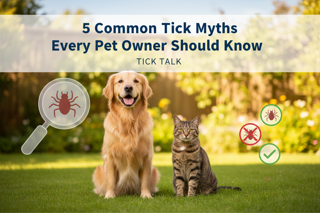 5 Common Tick Myths Every Pet Owner Should Know