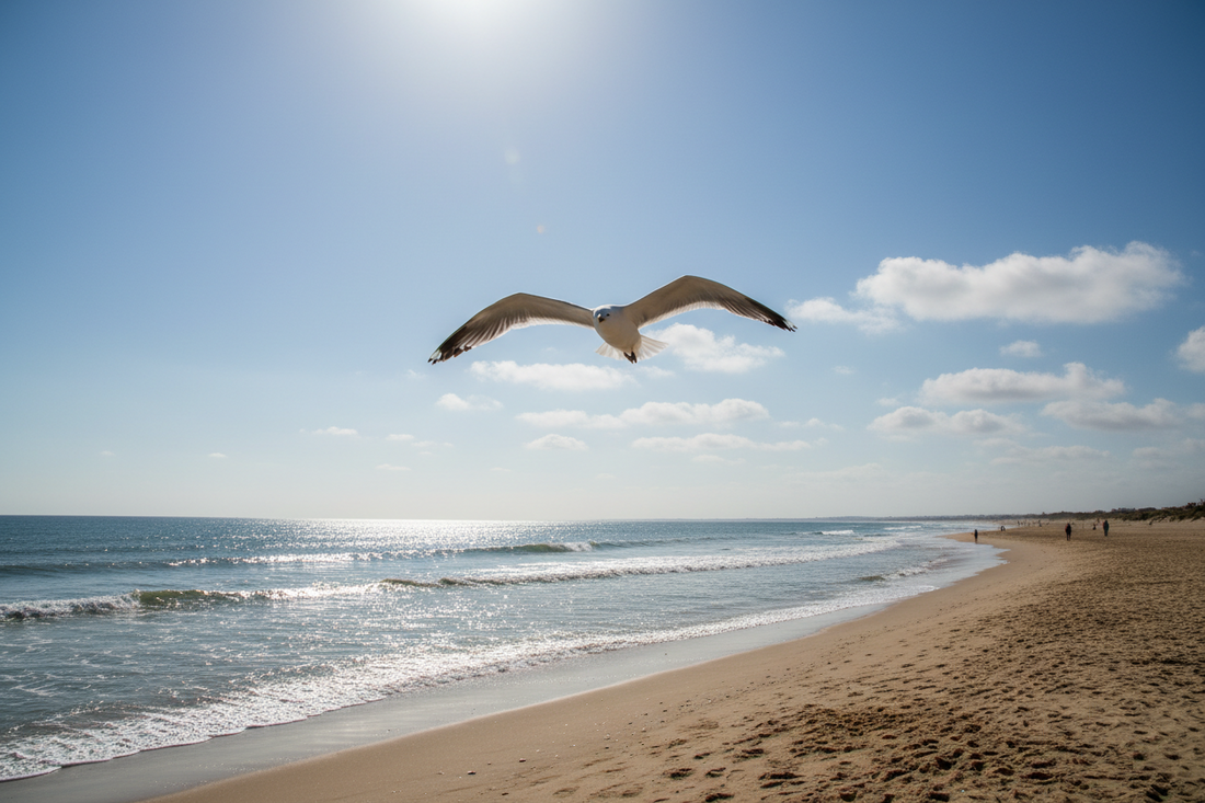 5. Seagulls — Bold Birds That Learn Human Behavior Quickly
