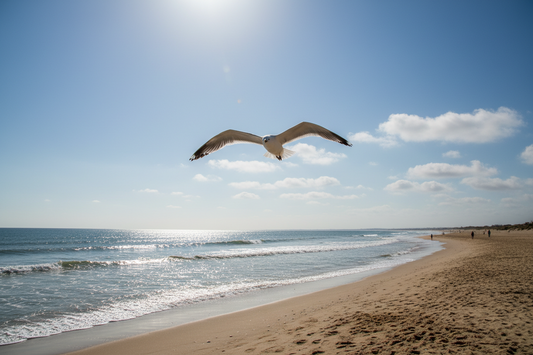 5. Seagulls — Bold Birds That Learn Human Behavior Quickly