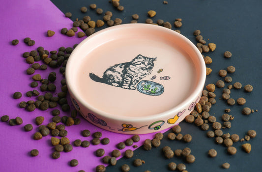 Essential Daily Routines That Improve Pet Well-Being