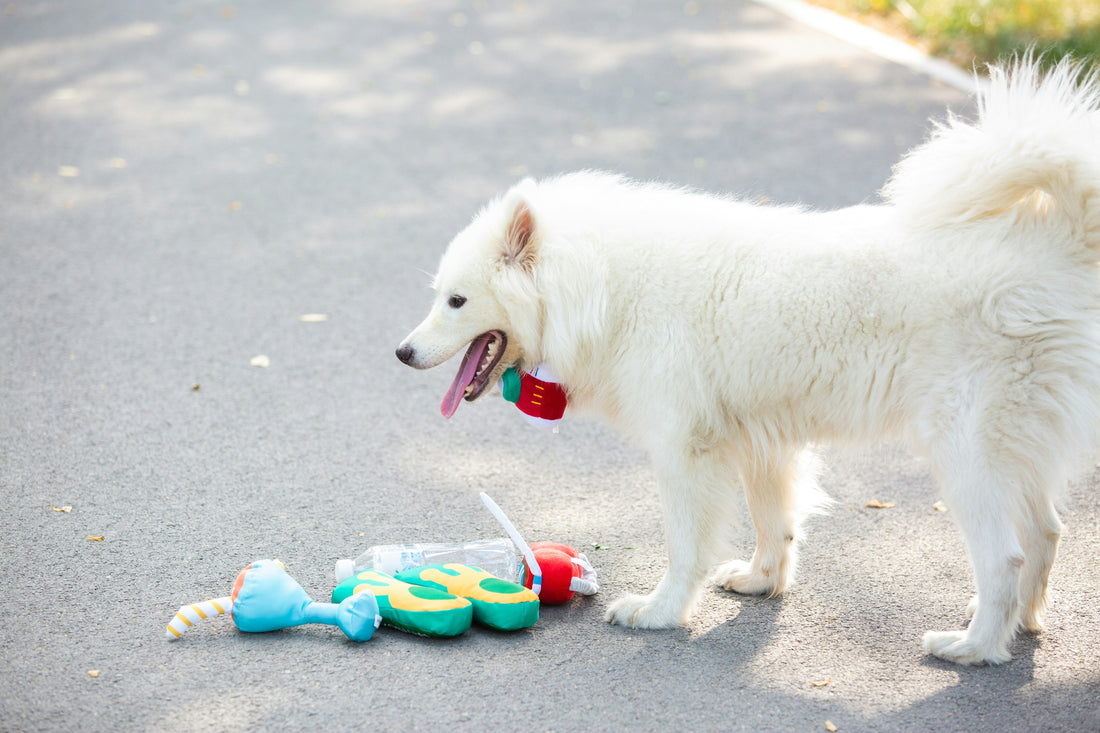 How to Read Dog Food Labels Like a Nutrition Expert”