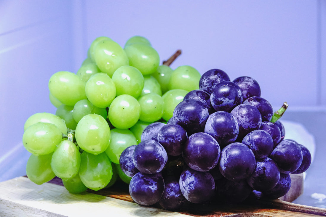 Dangerous Foods You Should Never Feed Your Dog  -2