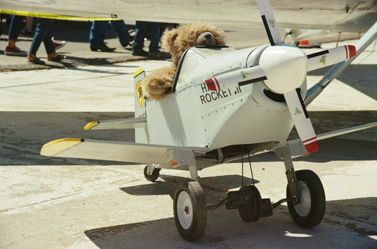 “How to Prepare Your Pet for Their First Trip”