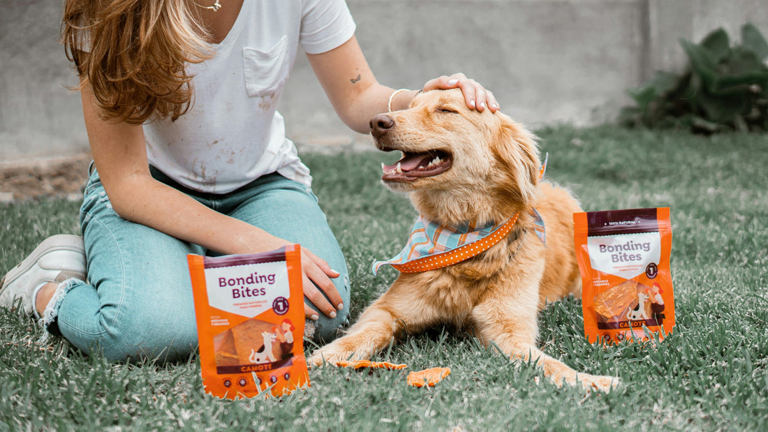Dangerous Foods You Should Never Feed Your Dog  -4