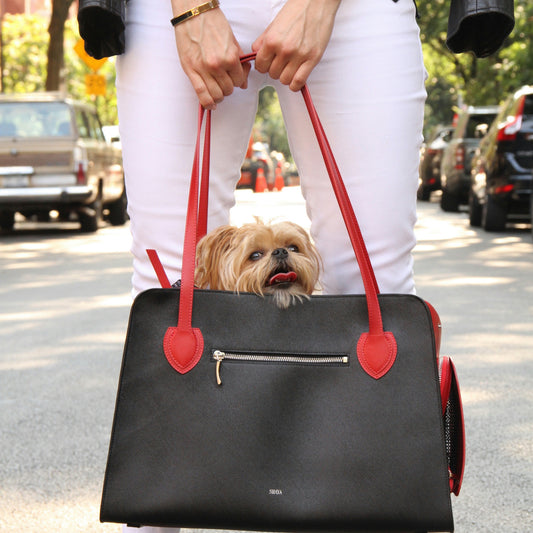 “How to Choose the Perfect Pet Carrier for Stress-Free Travel”