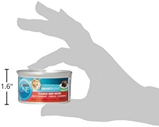 Purina ONE Natural, High Protein, Grain Free Wet Cat Food Pate, Beef Recipe - (Pack of 48) 3 oz. Pull-Top Cans