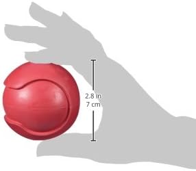 JW Pet Company iSqueak Bouncin' Baseball Dog Toy, Medium (Colors Vary)