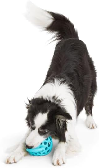 Leaps & Bounds by Petco Cage Ball with Handle Dog Toy Medium