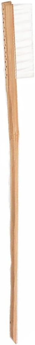 LIOOBO 1Pc Long Handle Bird Cage Cleaning Brush Durable for Parrot and Cockatiel Cages Essential Cleaning Accessory for Bird Owners Cage Cleaning Brush