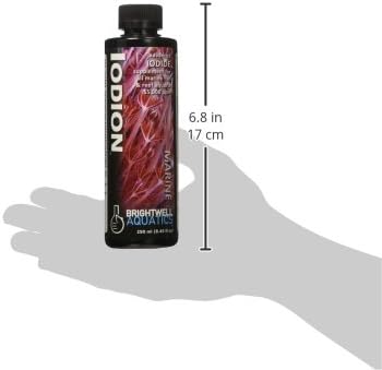 Brightwell Aquatics Iodion Iodide Supplement for Corals Clams Fish Macroalgae Enhances Polyp Extension Lighting Tolerance in Reef Marine Aquariums, 250 ml