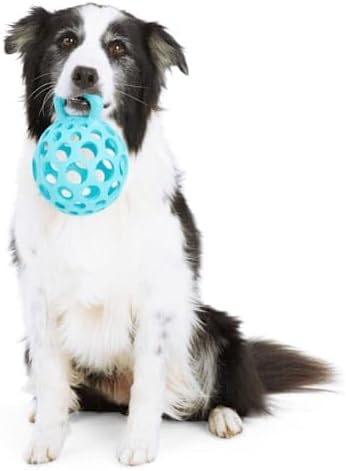 Leaps & Bounds by Petco Cage Ball with Handle Dog Toy Large