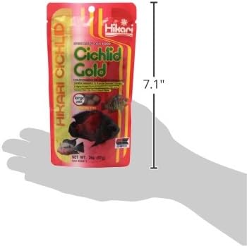 Hikari 2-Ounce Cichlid Gold Floating Pellets for Pets, Large