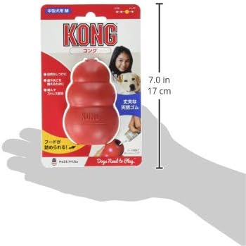 kongu (Kong) kongu Medium