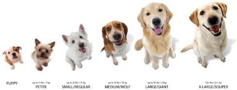 (3 Pack) Nylabone Dura Chew Bacon Flavored Bone - Size Regular