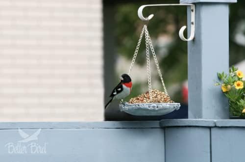 Better Bird Beautiful Bird Food, 5 Lb