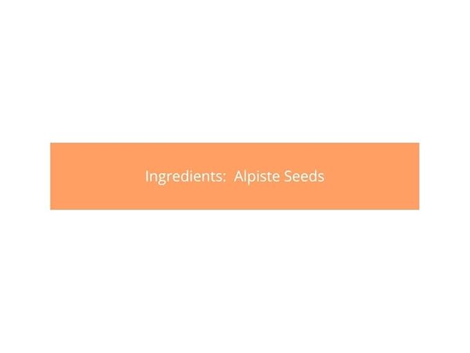 Canary Seeds – 10LB Natural Grain for Human Consumption