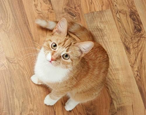I LOVE MY PETS LLC cat Urinary Support - CAT Urinary Tract Support - Natural Complex - Premium - Urinary Tract cat Treats - 90 Treats (1 Bottle)