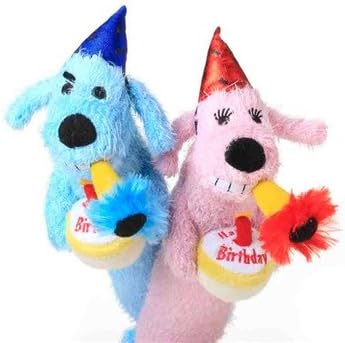Multipet Loofa Dog Birthday Toy [Set of 2]