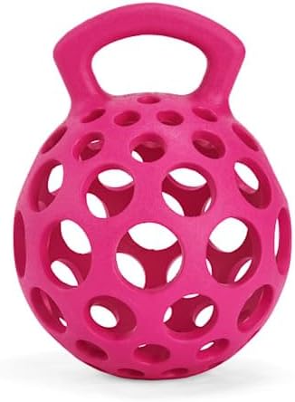 Leaps & Bounds by Petco Cage Ball with Handle Dog Toy Medium