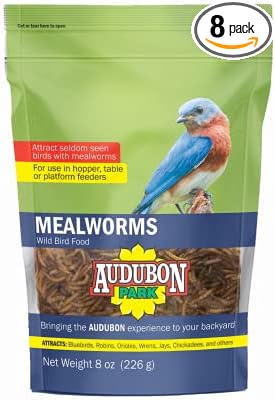 Audubon Park 12816 Mealworms Wild Bird Food, 8 oz Bag - Quantity 8