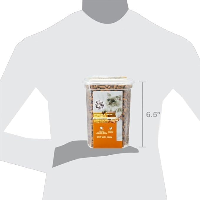 Special Kitty Chicken Flavor Crunchy Treats for Cats, Delicious Cat Treats with a Crunchy Outside & a Creamy Center. 16 oz, (3 Pack)