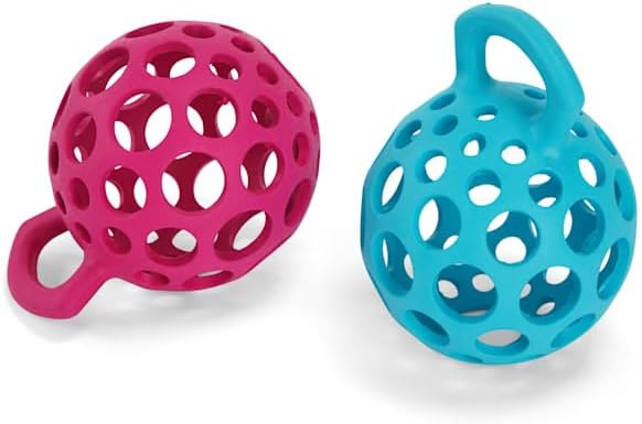 Leaps & Bounds by Petco Cage Ball with Handle Dog Toy Large