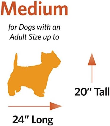 MidWest Homes for Pets Medium Ovation Double Door 30-inch Folding Metal Dog Crate, Front and Up & Away Side Doors, Space-Saving Design