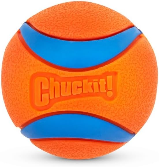 Chuckit! Ultra Ball Dog Toy, Balls for Dogs to Fetch, Durable Rubber, Small 2-inch, Pack of 24