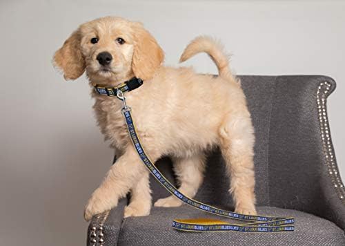 Pets First NHL ST.Louis Blues Leash for Dogs & Cats, Large. - Walk Cute & Stylish! The Ultimate Hockey Fan Leash!, 6 ft Long x 1 in Width, BLU-3031-LG