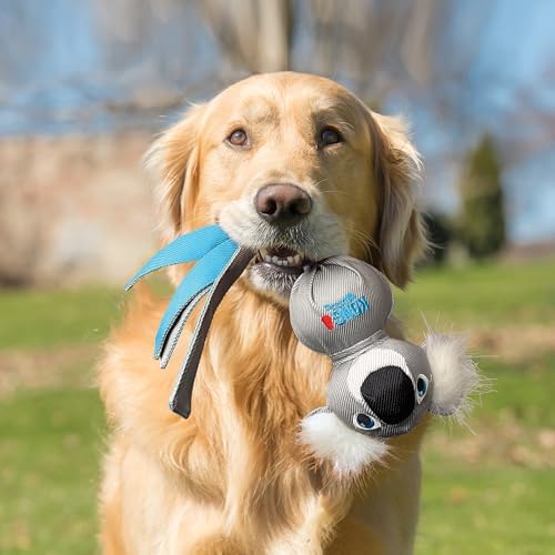 KONG Wubba Zoo Assorted Animal Dog Toy (Koala)
