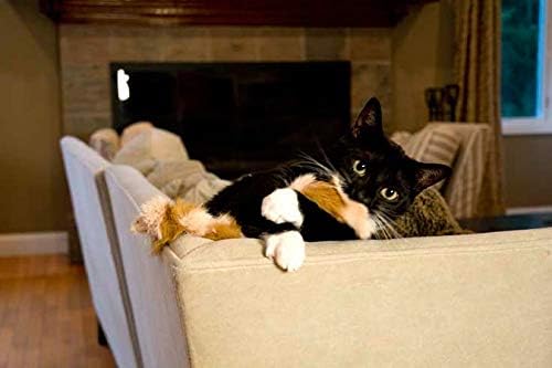 Iconic Pet Set of 2 Fur Weasel Toy(One Brown/White, One Multicolored) with Squeaker for Pets, Best Pet Play Toy for Dogs & Cats, Fun Cat Toys, Dog Toys to Beat Boredom & Satisfy Hunting Instincts