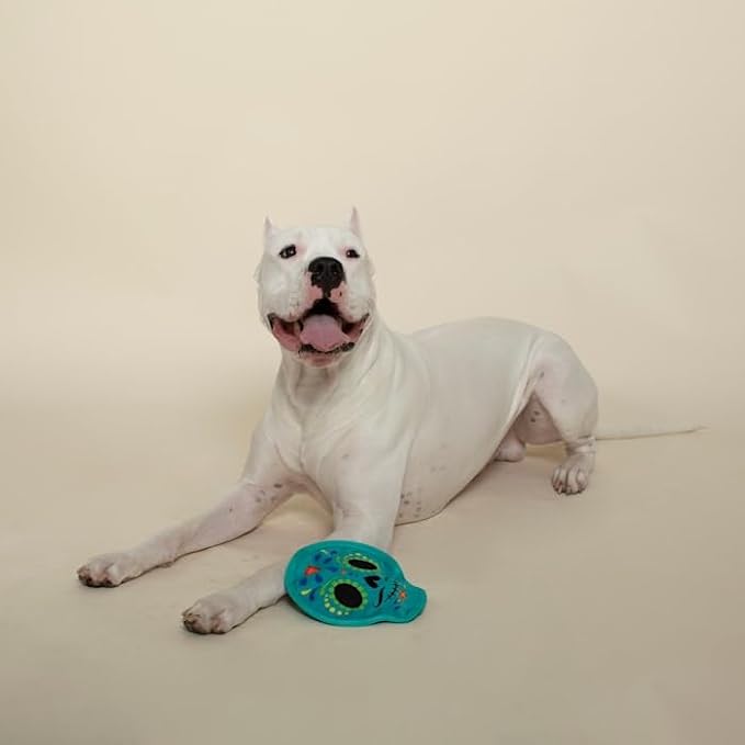 Fringe Studio Plush Dog Toy, Durable, The Sweet Life (729066) Small