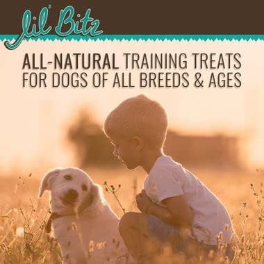 Lil' Bitz Soft & Chewy Dog Training Treats, Wild Salmon + Kelp Flavor, Grain Free Bite Size Reward Treats for All Breeds, Made with Natural Ingredients (4 oz Bags, Pack of 3)