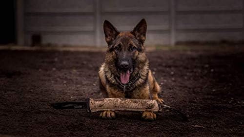 Dingo Gear Tug Toy for Dog Training Agility Tug of War, Jute Dog Bumper with one Handle, Dog Bite Pillow for Aggressive Chewers, 11" S00145