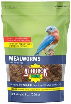 Audubon Park 12816 Mealworms Wild Bird Food, 8 oz Bag - Quantity 8