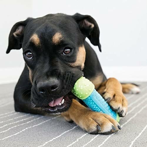 KONG CoreStrength Bone - Dog Dental Chew Toy - Durable, Multi-Layered Dog Toy for Enrichment Play & Dental Care - with Textured Body for Teeth Cleaning - for Medium/Large Dogs (Pack of 2)
