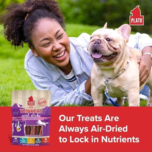PLATO Pet Treats Thinkers - Meat Stick Treats for Dogs - Limited Ingredient Dog Treats with EPA and DHA to Support Skin, Coat, and Brain - Air-Dried Dog Treats - Thinkers Lamb 10oz - 2 Pack