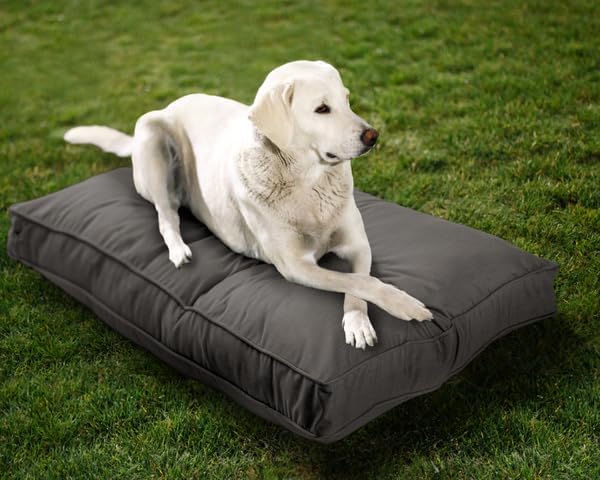 Sunbrella Double-Sided Dog Bed for Indoor/Outdoor Use, Easy Clean & Machine Washable Cover, Chew-Proof, Multipurpose Pet Mat for Dogs & Cats, Large (40”x30”x 4”), Polyester, Charcoal Grey