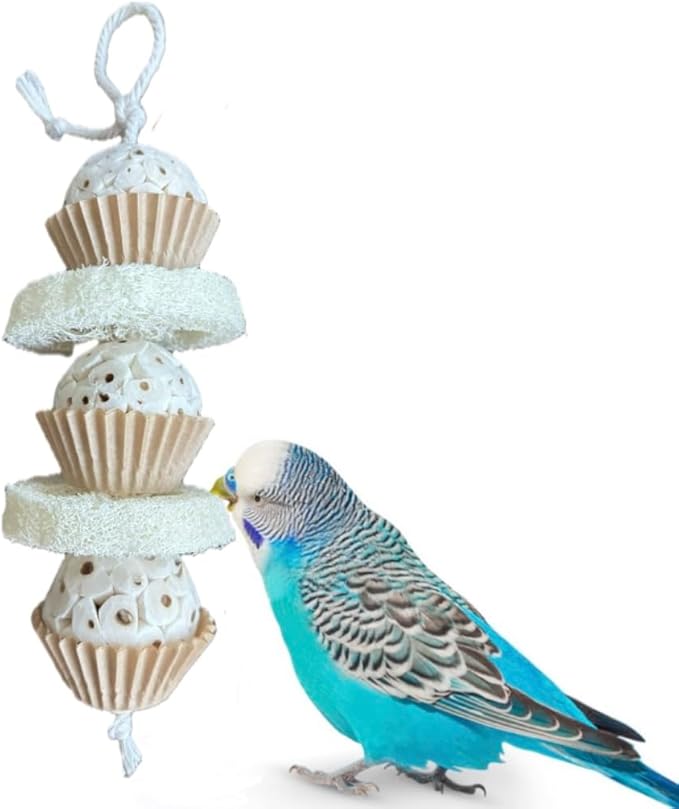 Natural Bird Toy - Shred and Destroy - Double Texture Soft & Crunchy - Sola Ball and Loofah Plant - Small Birds - Budgies, Lovebirds - 2 Pack