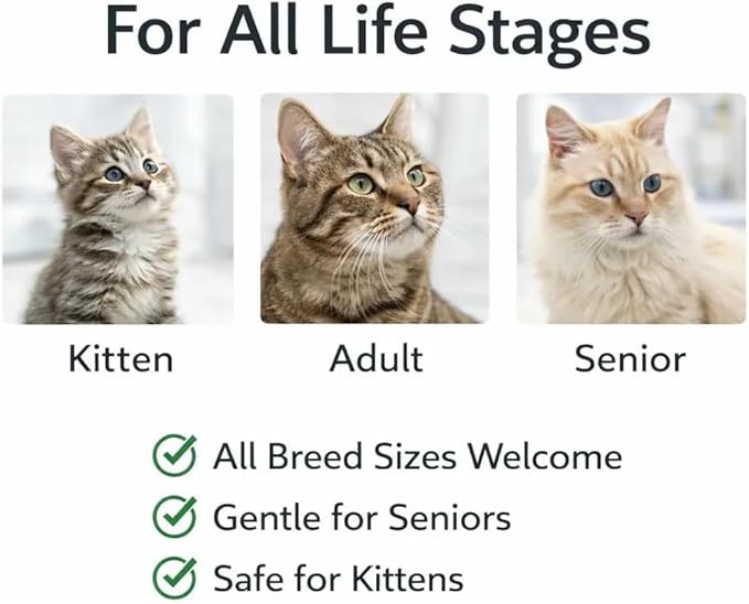 Salmon Cat Treats Bundle - Crunchy Soft Filled Bites + Lickable Puree Squeeze Tube - Healthy Training Treats Indoor Cats Kittens Senior - Low Calorie Food Topper No Artificial Flavors Wheat Soy Free