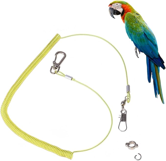 ORFOFE 3m Elastic Parrot Leash Training Rope Bird Harness for Outdoor Activities Bird Cage Accessory Strong Wire for Parrot Conure Random Color
