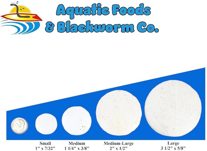 Small & Medium Calcium Feeder Disks for Shrimp, Snails, Crabs, Crayfish, Hermit Crabs, Catfish, Plecos, All Tropical Fish..2.5oz…26 Count Bag