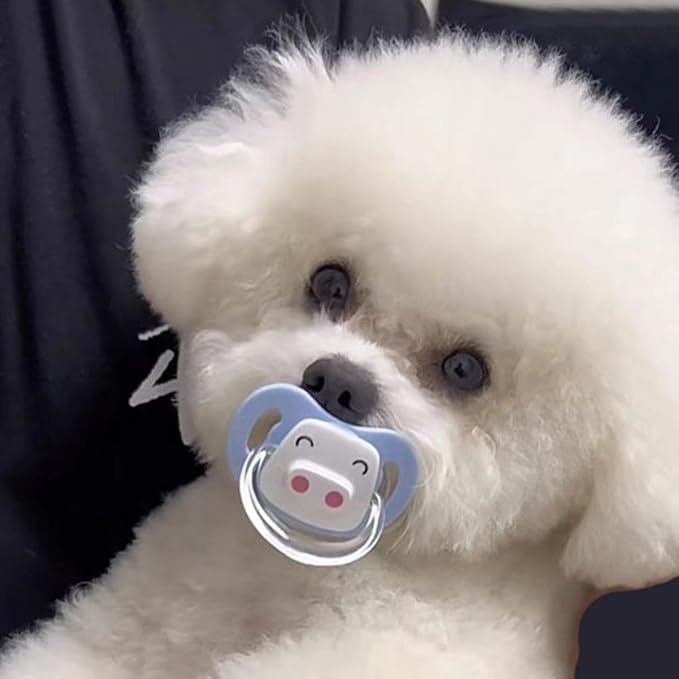 Pet Silicone Calming Pacifier, Dog Pacifiers for Small Dogs, Kitten Pacifiers, Puppy Teething Toys and Cat Chew Toys, Essential Pet Supplies, Puppy Essentials and Kitten Supplies, Chew Toys (Chicks)