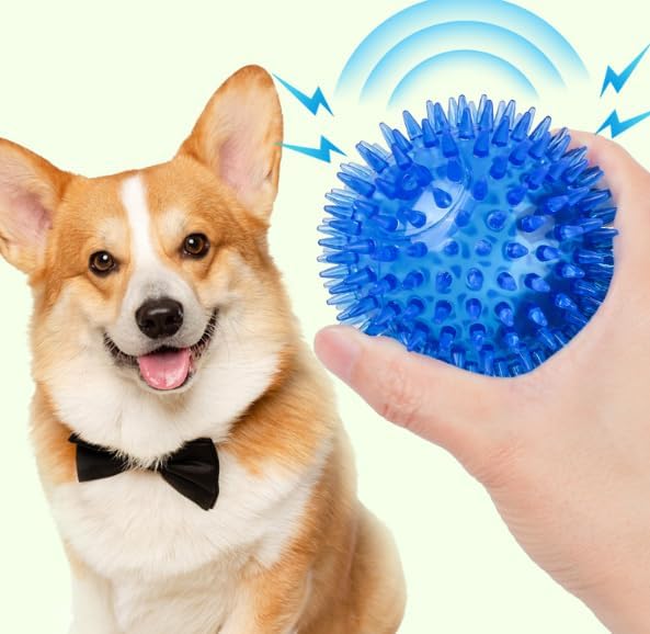 Soft Transparent Spiky Dog Chew Ball, 6.5 CM, Blue Bite Resistant Training Toy for Puppies and Cats Tool