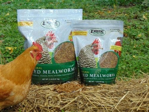 Dried Mealworms - 100% Natural, Non-GMO, High Protein, Bulk Insect Treat for Chicken, Laying Hen, Chick, Wild Bird, Bluebird, Duck, Goose, Turkey, Chickadee, Titmice, Wren, Reptile, Fish (22 lb.)