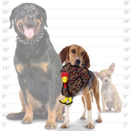 TUFFY - World's Tuffest Soft Dog Toy -Barnyard- Multiple Layers. Made Durable, Strong & Tough. Interactive Play (Tug, Toss & Fetch). Machine Washable & Floats. (Turkey, Jr 2 Pack)